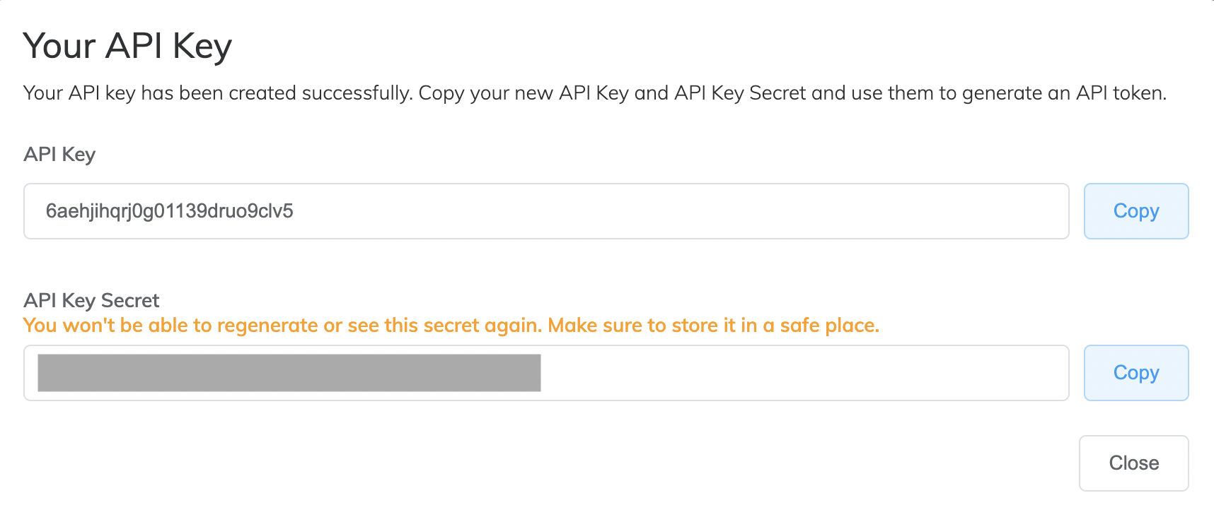Your API Key prompt