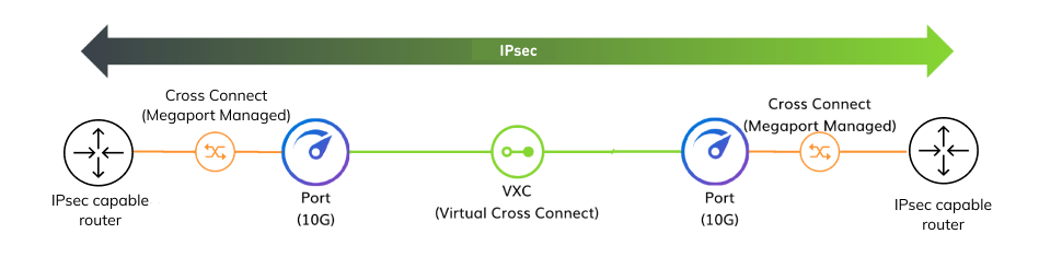Schema della connessione da cliente a cliente IPsec. Questa immagine mostra la struttura di una connessione di crittografia IPsec dal router IPsec di un cliente, collegato a una Porta, che è collegata a un'altra Porta utilizzando un VXC. La seconda Porta è collegata a un altro router IPsec del cliente.