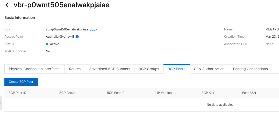 BGP Peers tab