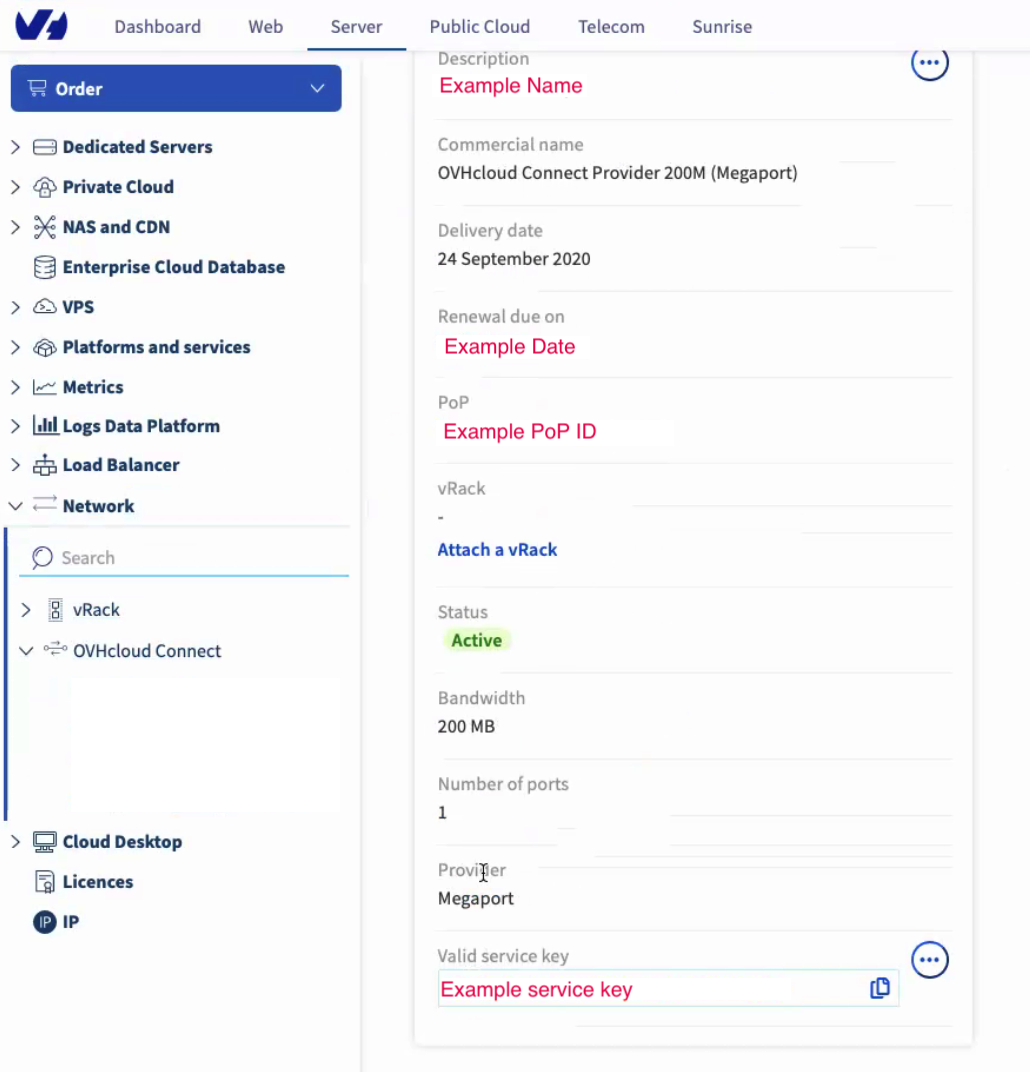 OVHcloud Connect 详细信息