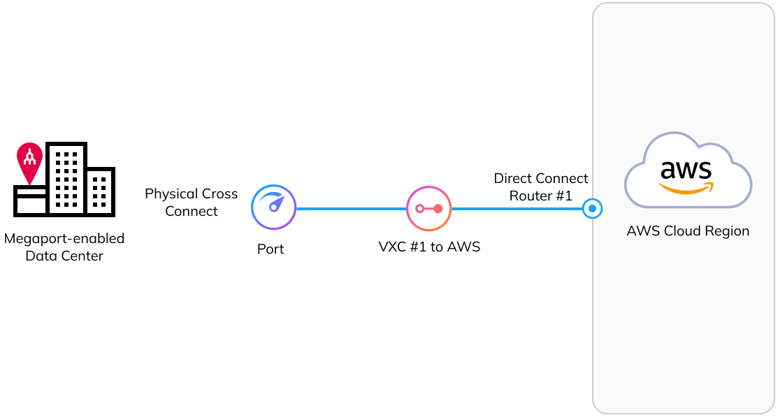 示意图：1 个 Port 位于 1 个数据中心，通过 1 条 VXC 连接到 1 台 AWS Direct Connect 路由器