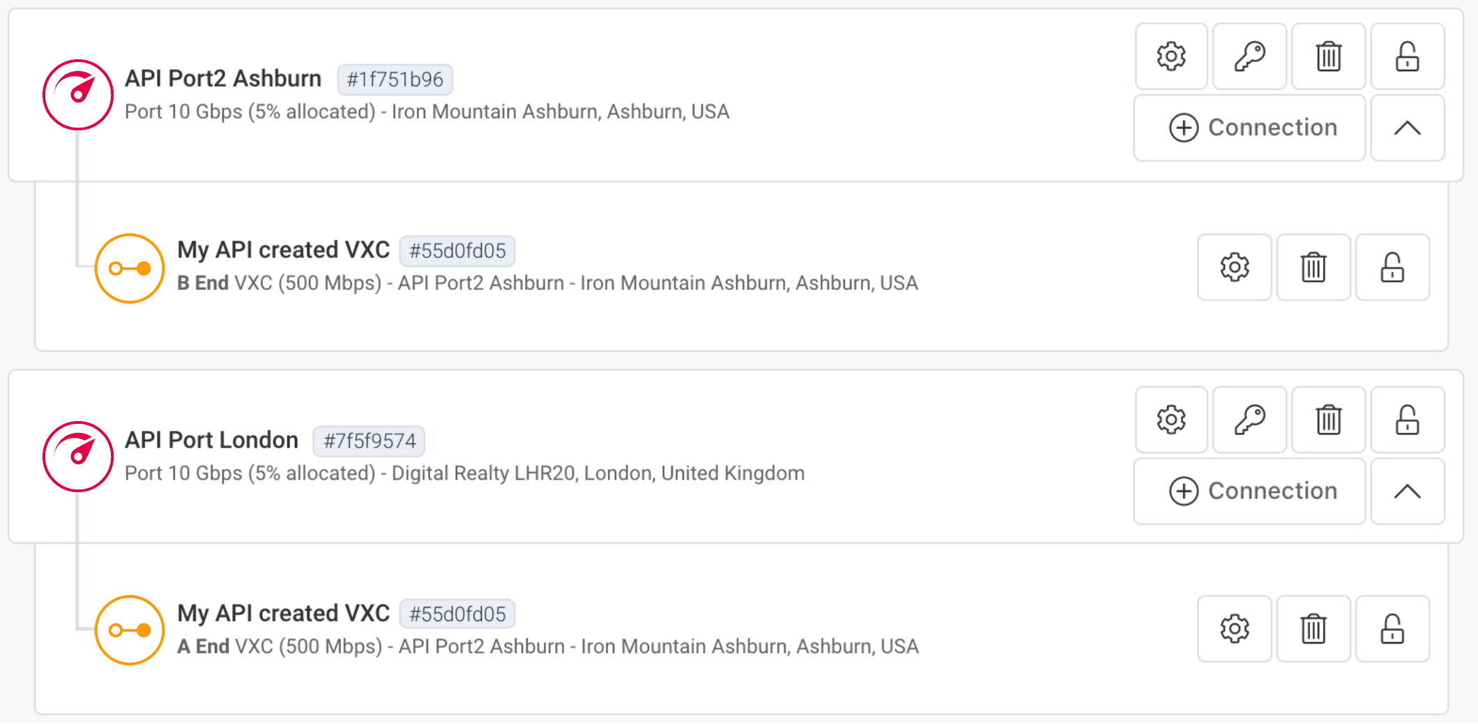 在 Portal 中的 API Port 與 VXC 檢視