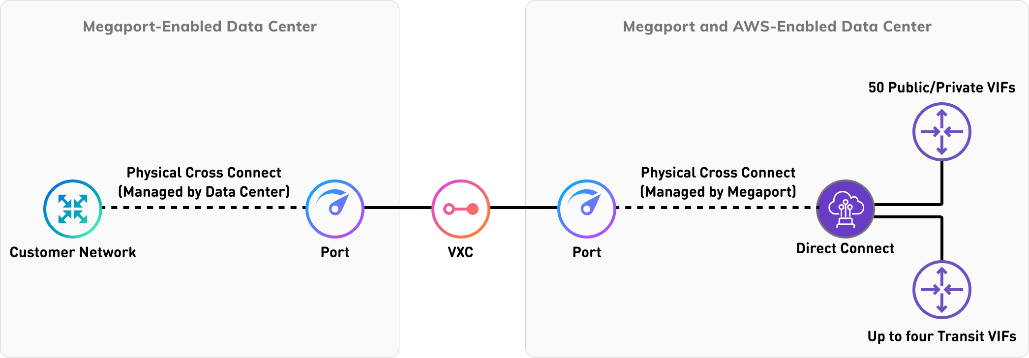 Direct Connect 專用連線